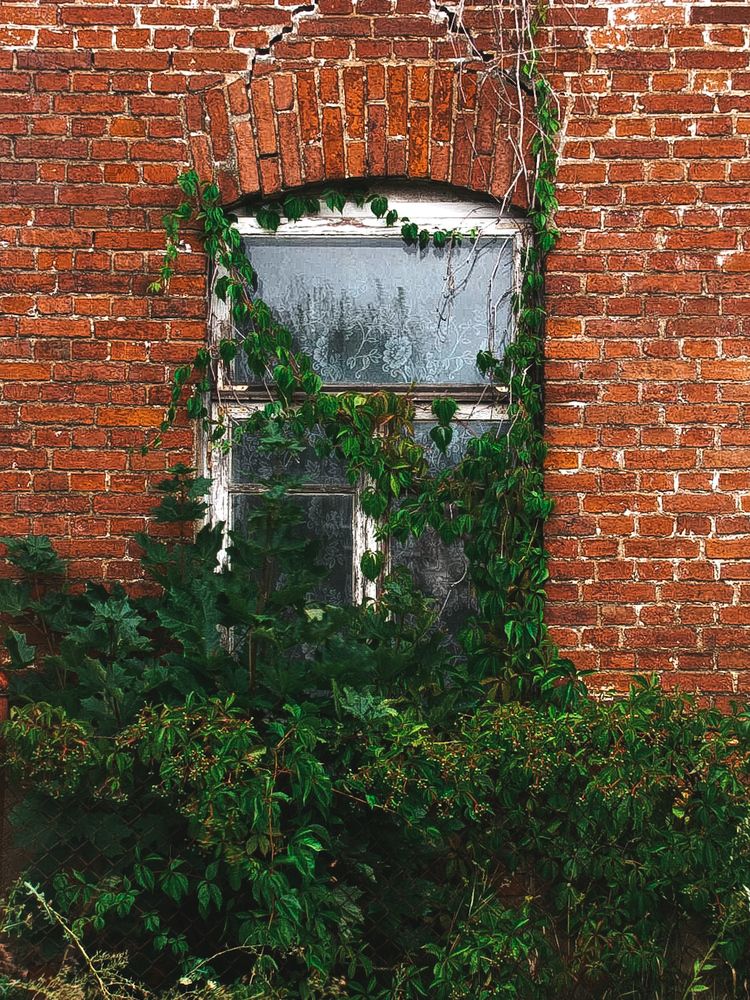 Photograph by Natalia Schastnaya
