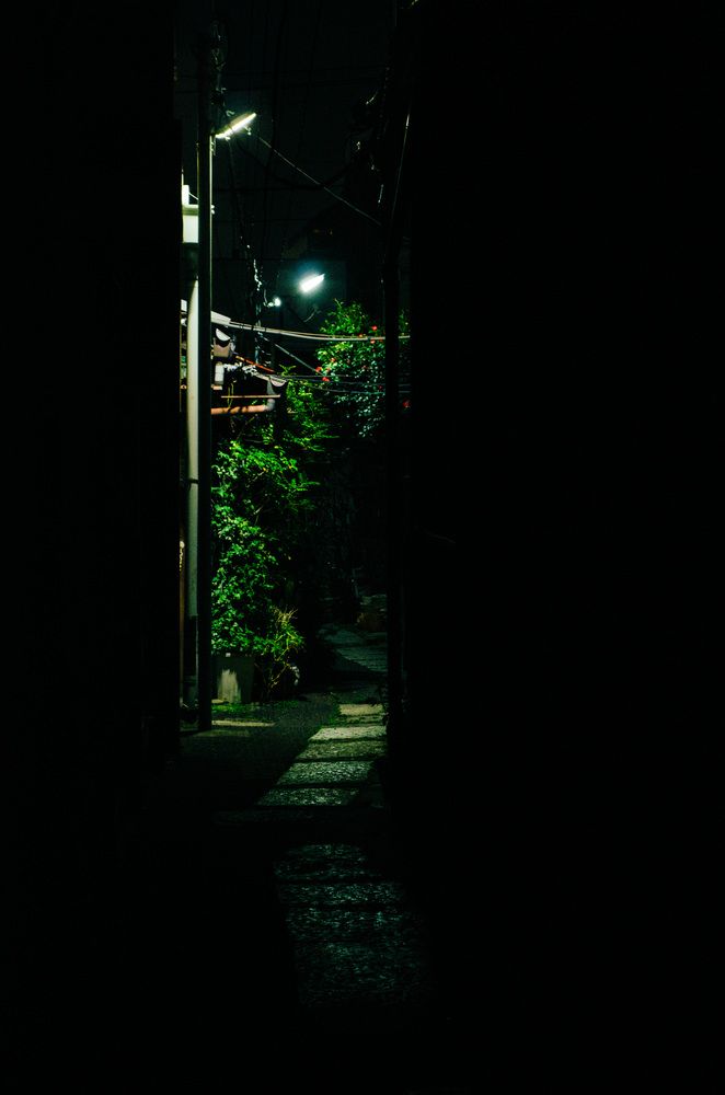 Photograph by Татьяна Герасимцева