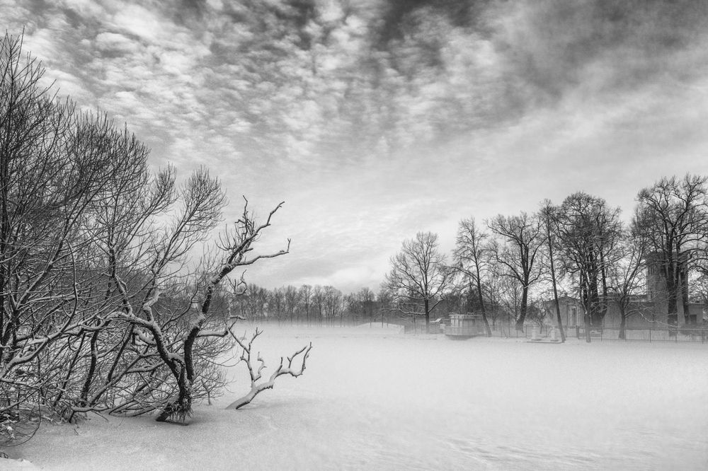 Photograph by Ирина Заколдаева