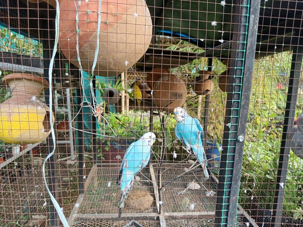 Photograph by Monika Kushwaha