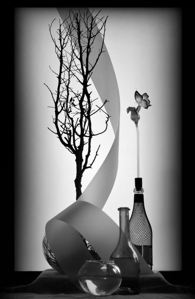 Photograph by Александр Зарх