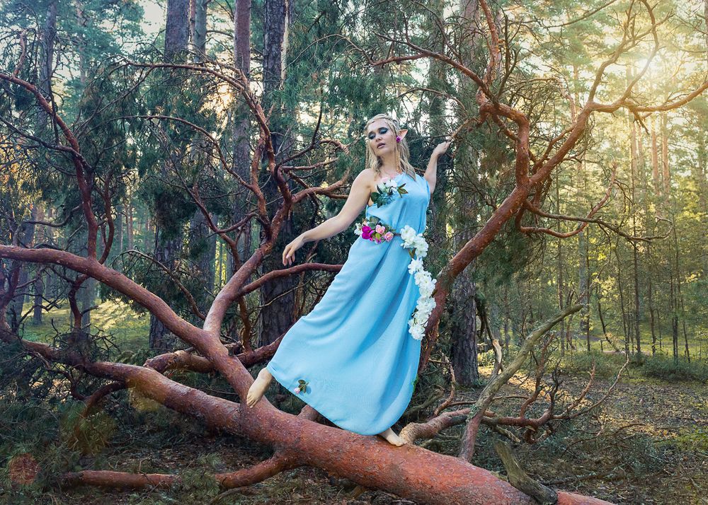 Волшебный мир эльфов