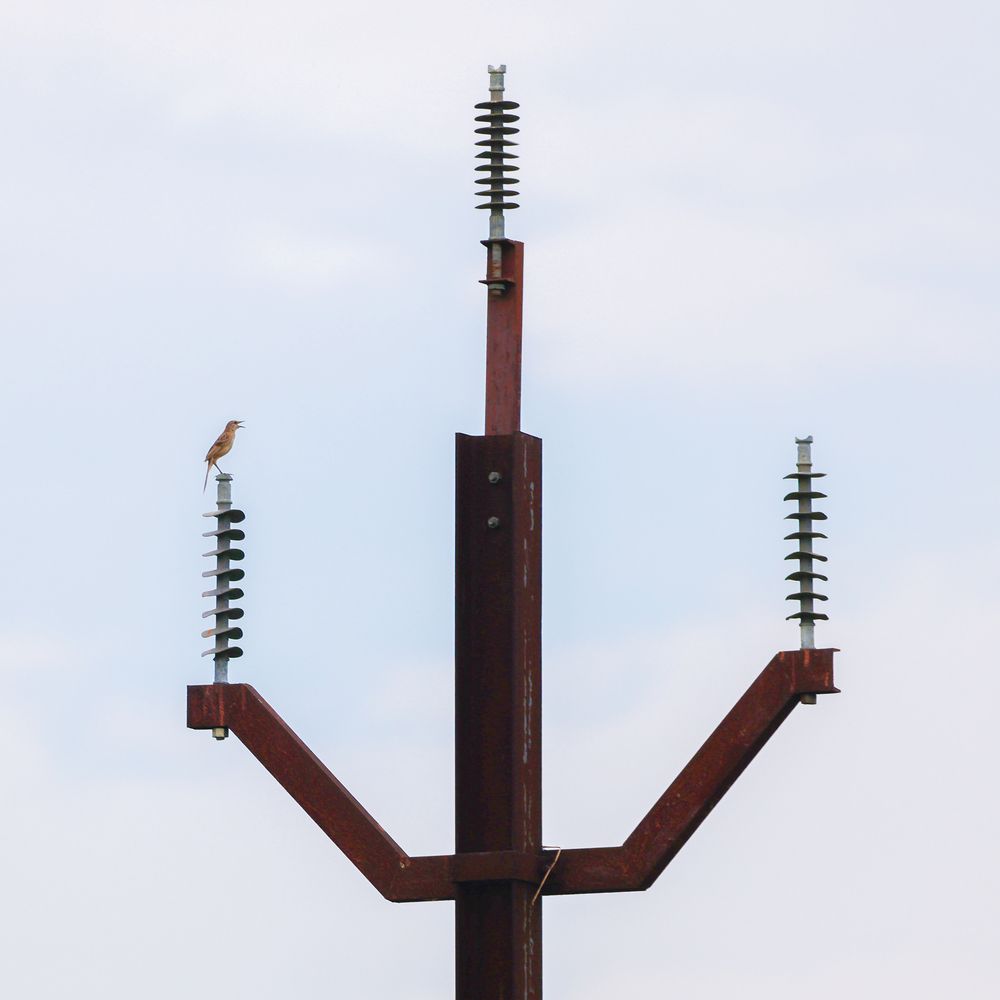 Photograph by Aritra Nath