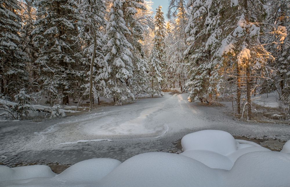 Photograph by Ирина Заколдаева