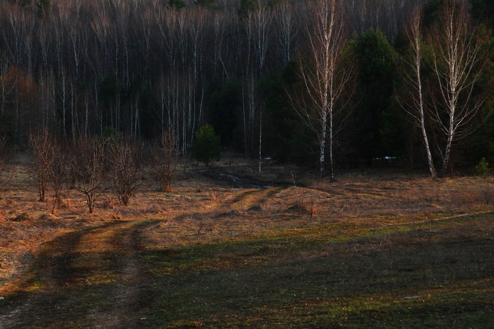 Photograph by Борис Астафьев