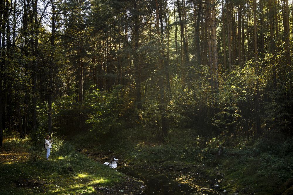 Фотография автора Андрей Рогов