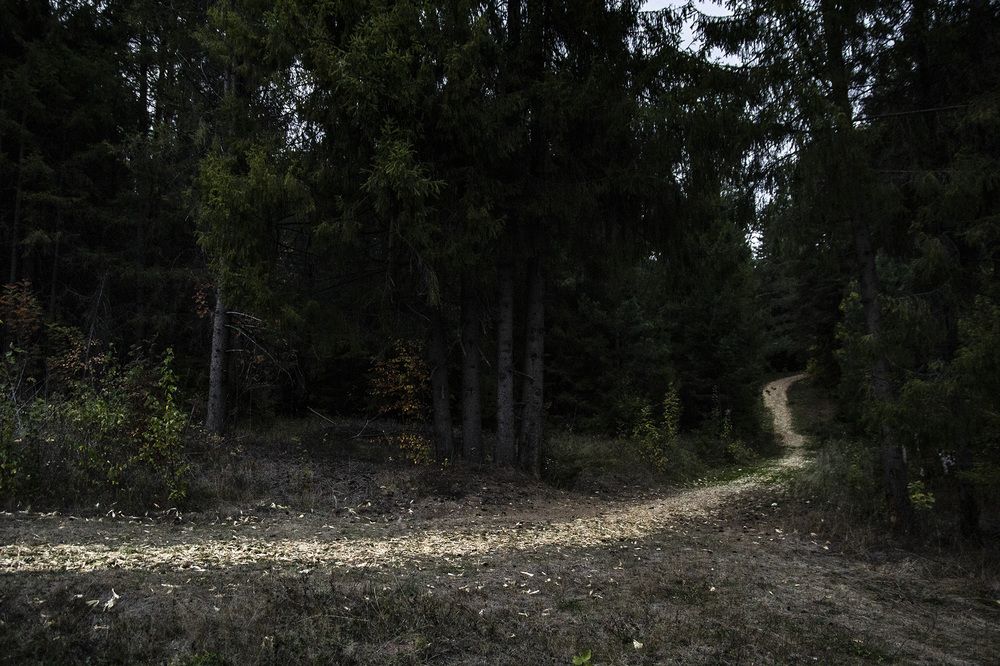 Фотография автора Андрей Рогов