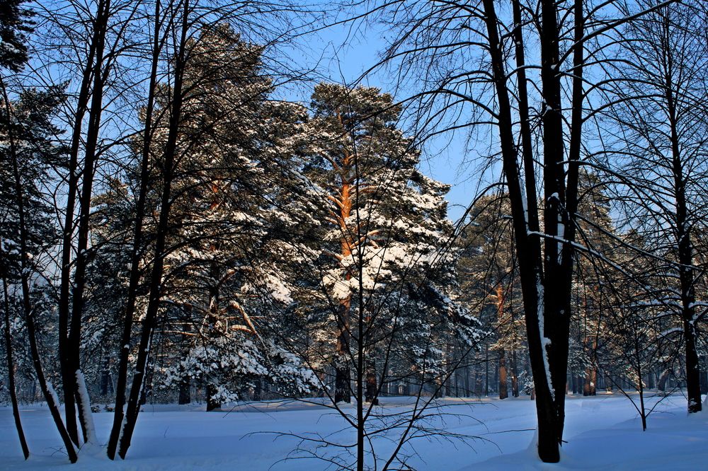 Photograph by Дмитрий Симагин