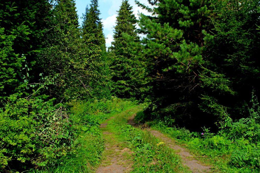 Photograph by Дмитрий Симагин