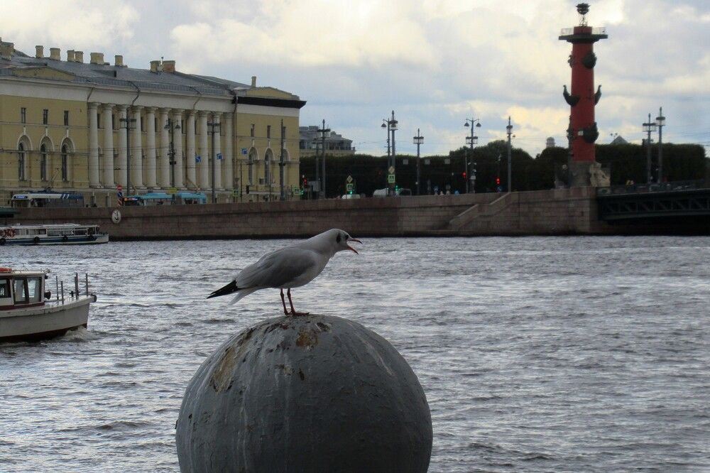 Photograph by Ольга Березовская