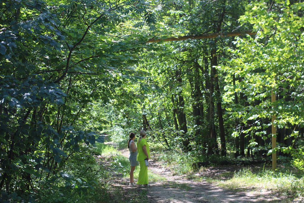 Photograph by Валерий Безбородов