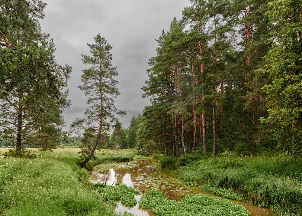 После дождя