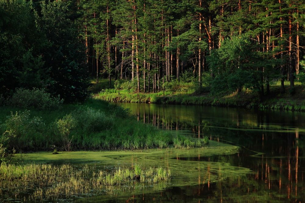 Photograph by Борис Астафьев