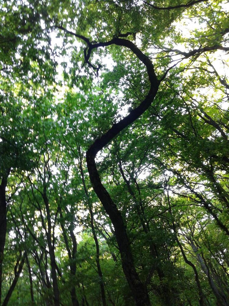 Photograph by Дарья Кирина