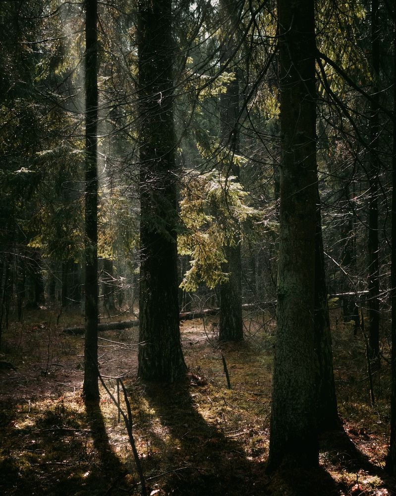 Photograph by Tatsiana Sialiuk