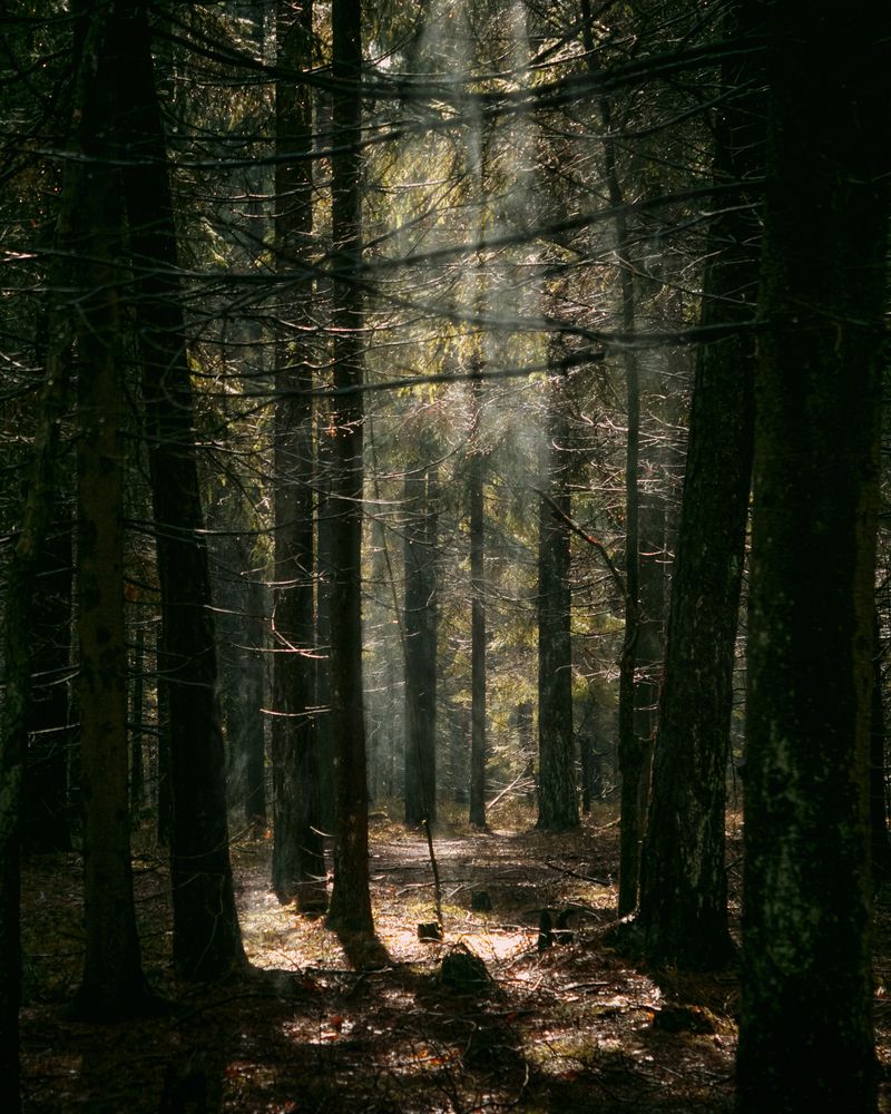 Photograph by Tatsiana Sialiuk