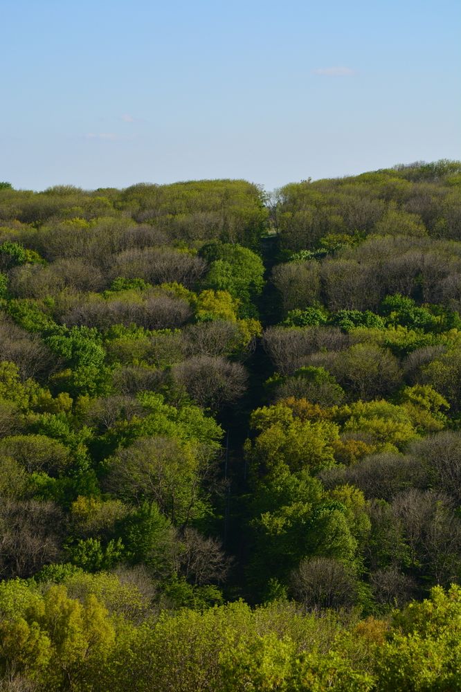 Photograph by Дарья Кирина