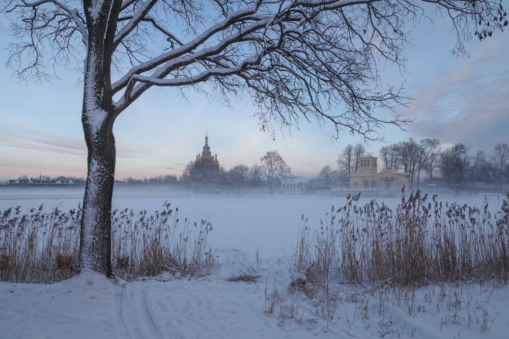 Photograph by Ирина Заколдаева