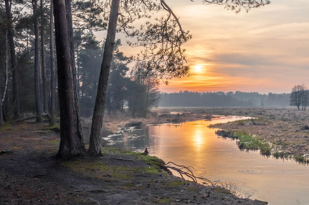 Photograph by Marcin Bochenek