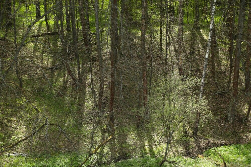 Photograph by Борис Астафьев