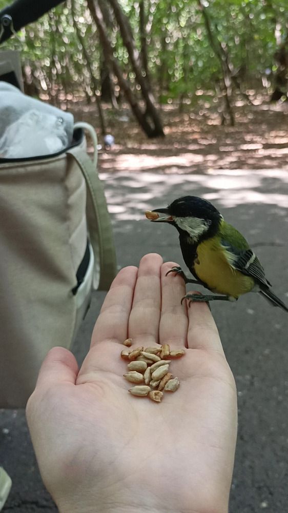 Photograph by Дарья Кирина