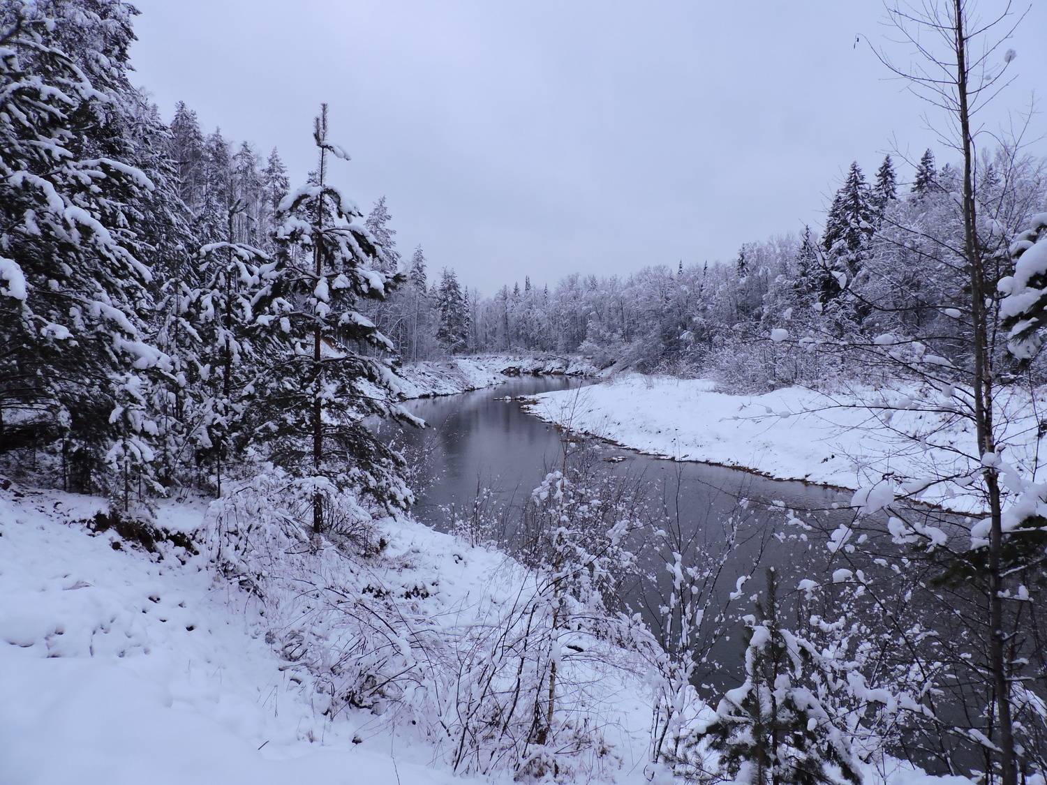 Photo #11789591