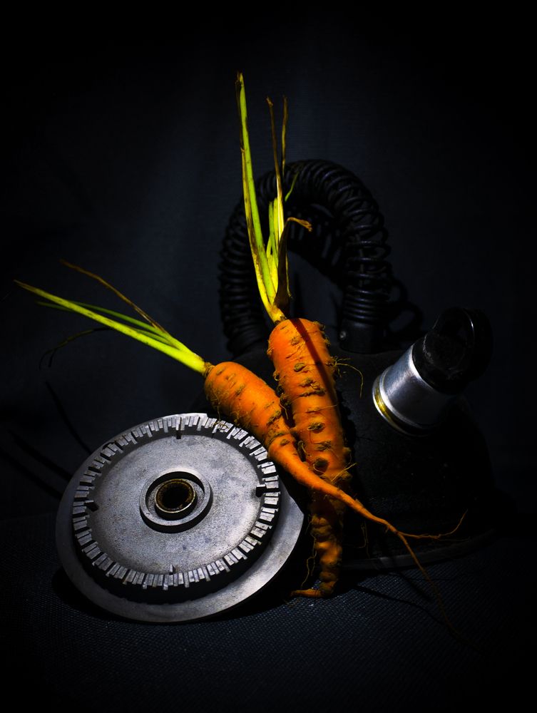 Photograph by Rafael Luis