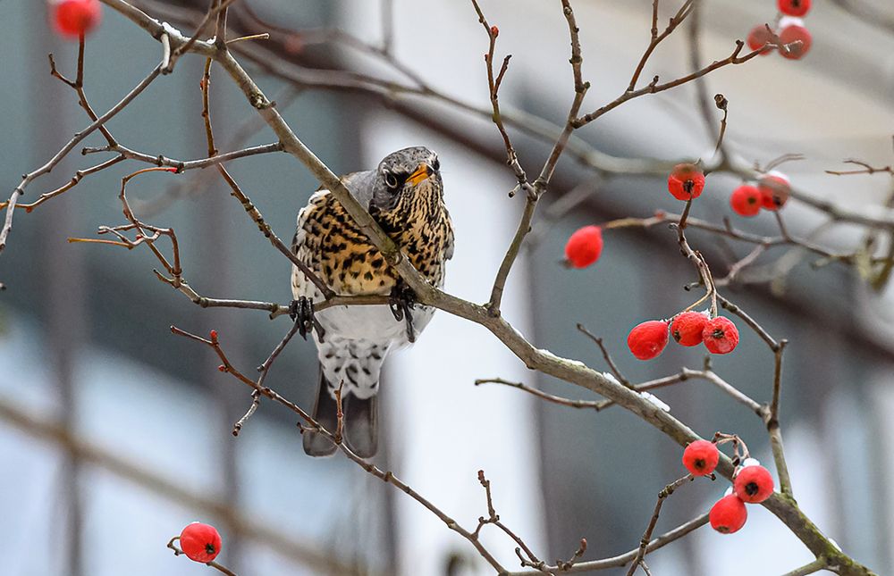 Фотография автора Мария Новоселецкая