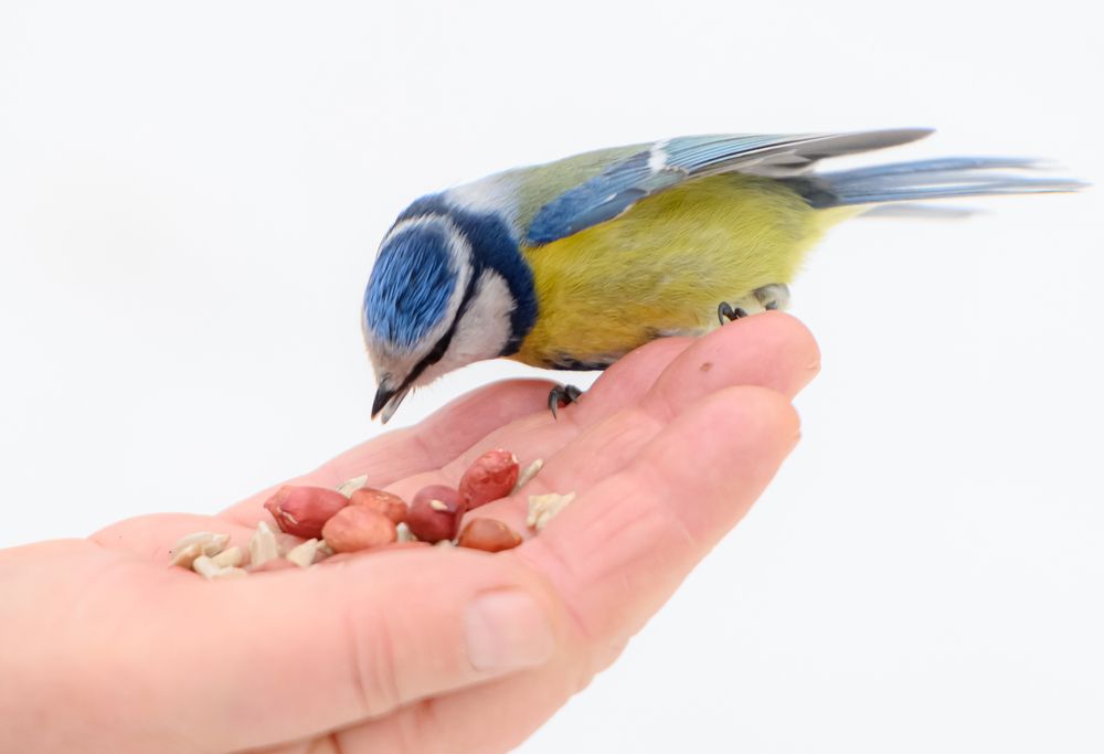 Photograph by Мария Новоселецкая