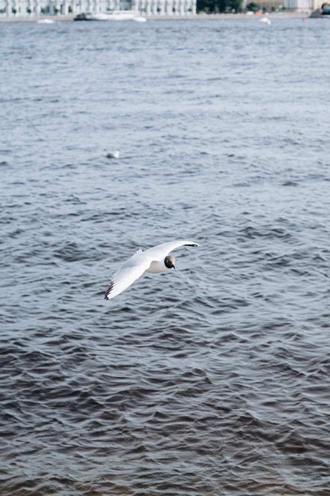 Photograph by Виктория Трач