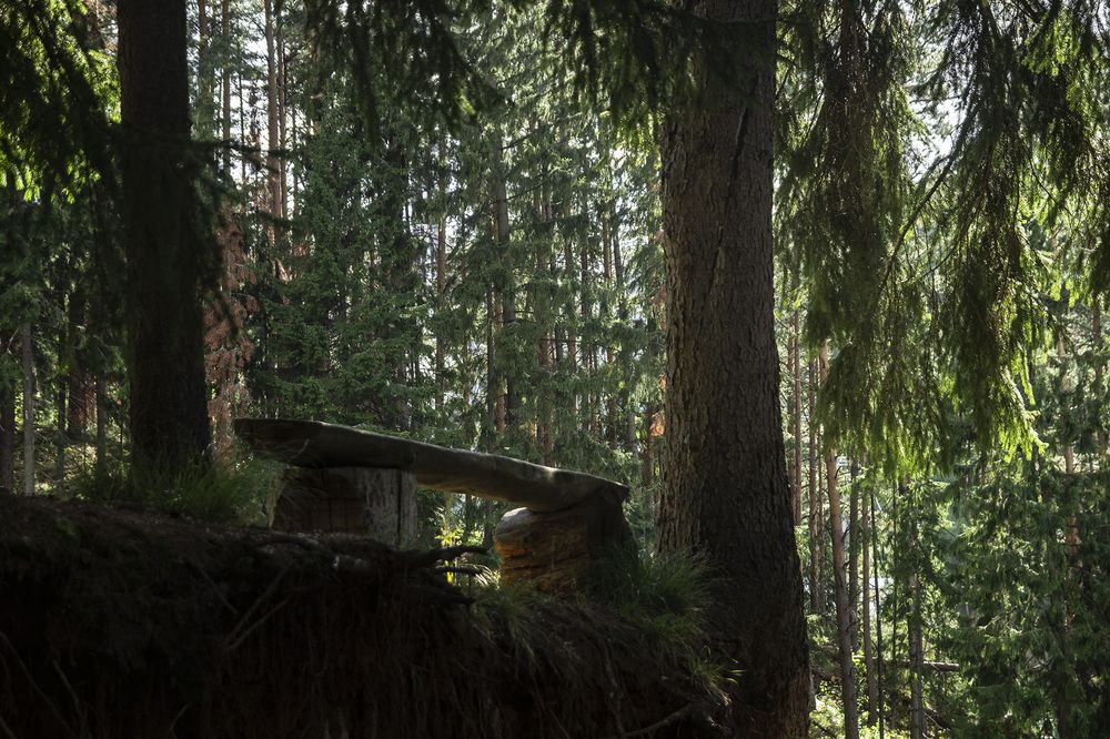 Фотография автора Андрей Рогов