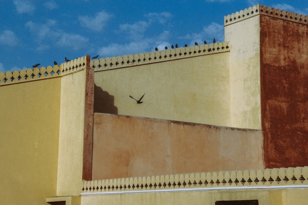 Photograph by Снежанна