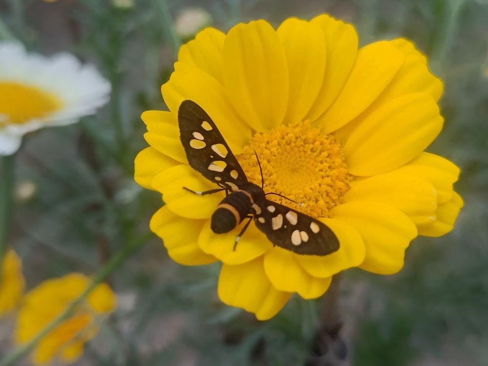 Photograph by Monika Kushwaha