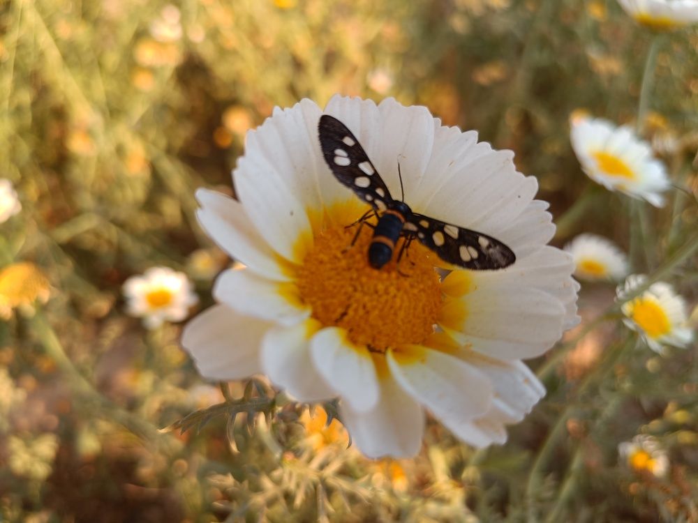 Photograph by Monika Kushwaha