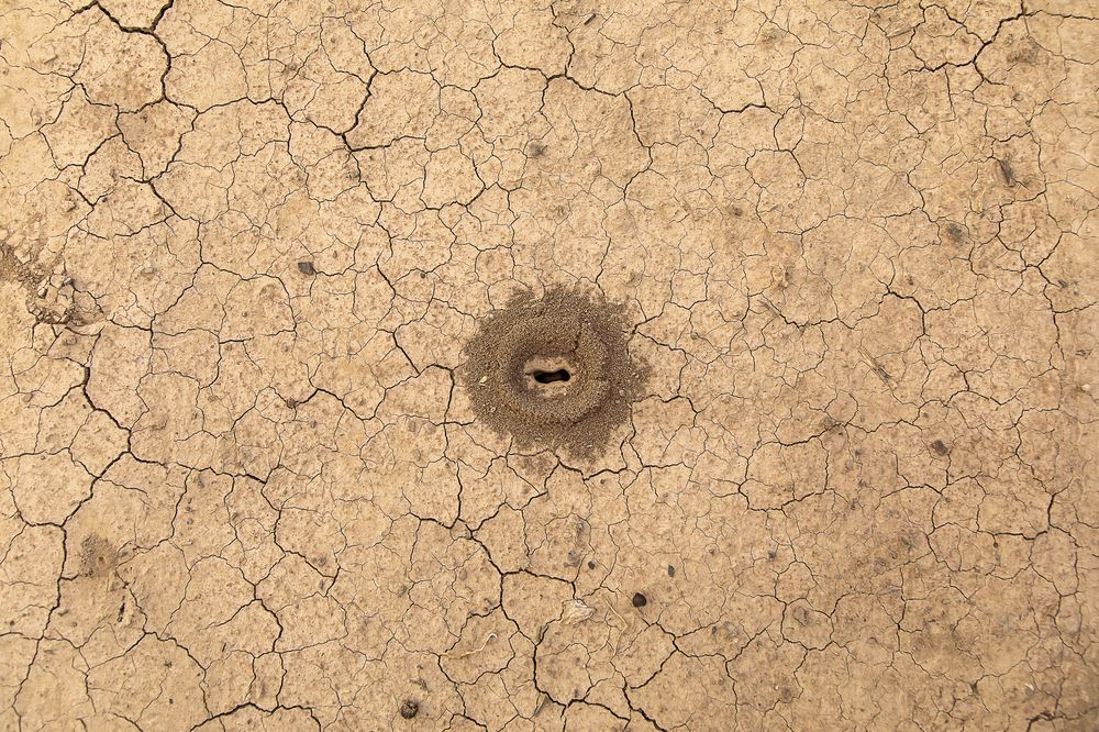 Фотография автора KEVIN ROLAISER