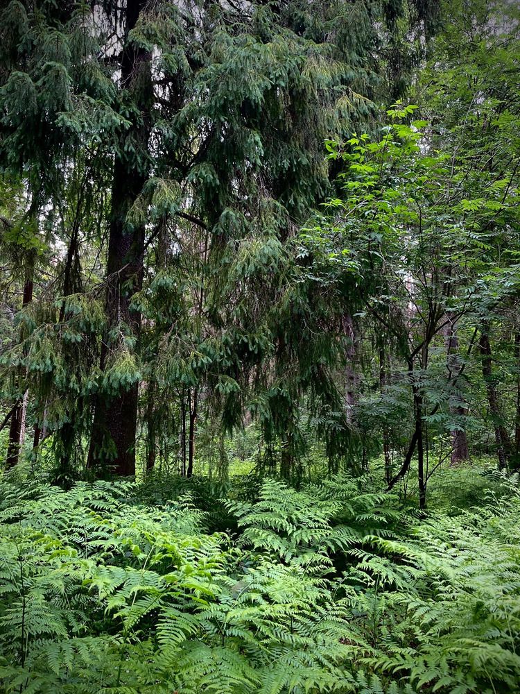 Photograph by Екатерина Одинцова