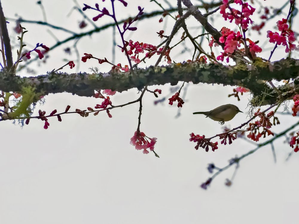 Photograph by WEONBAE PARK