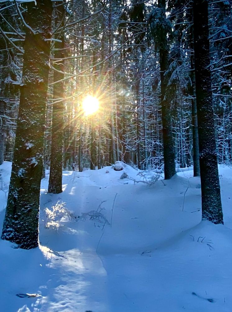 Photograph by Наталья Казачок