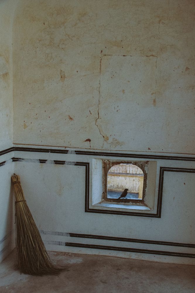 Photograph by Снежанна