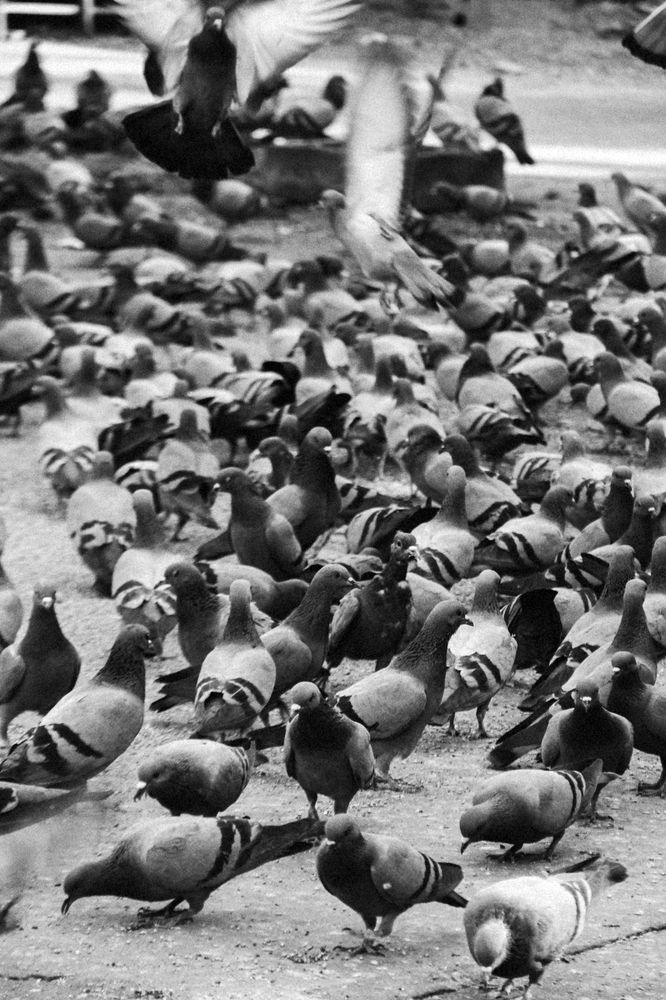 Photograph by Снежанна