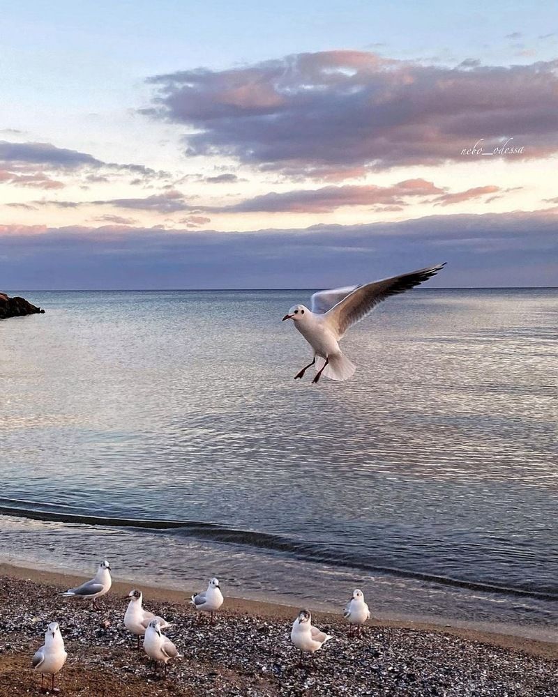 Умиротворение