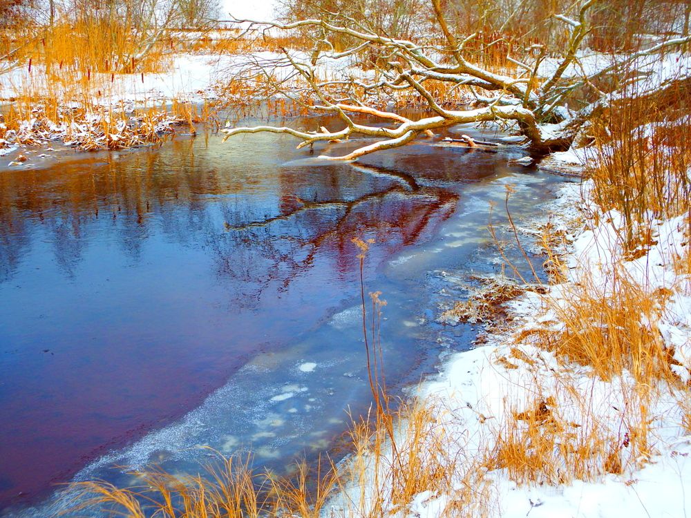 Фотография автора Jevgeni Filimonov