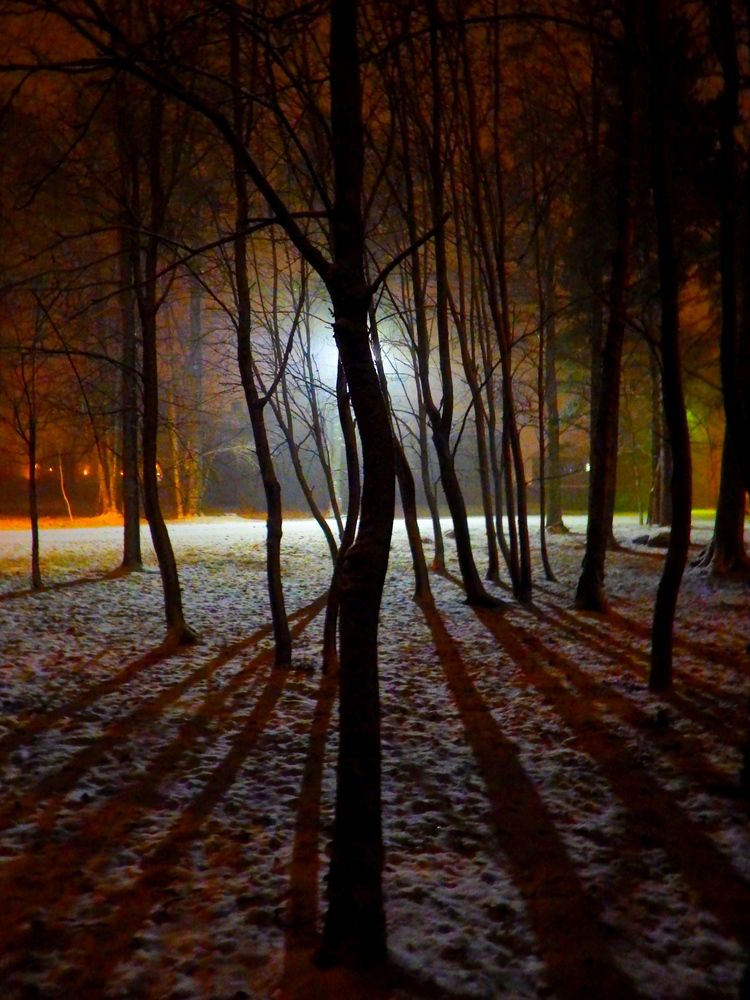 Фотография автора Jevgeni Filimonov