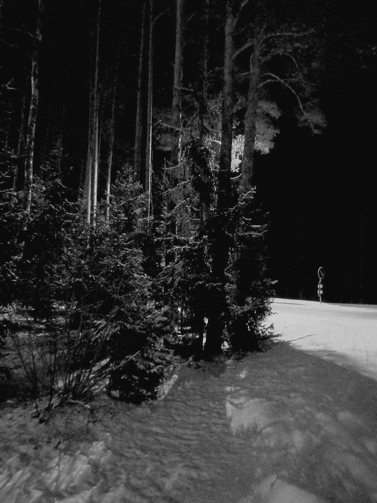 Фотография автора Jevgeni Filimonov