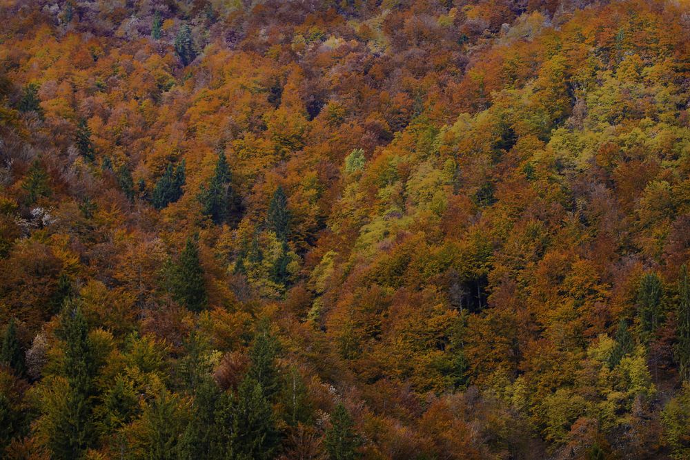 Фотография автора Оксана Мерзликина