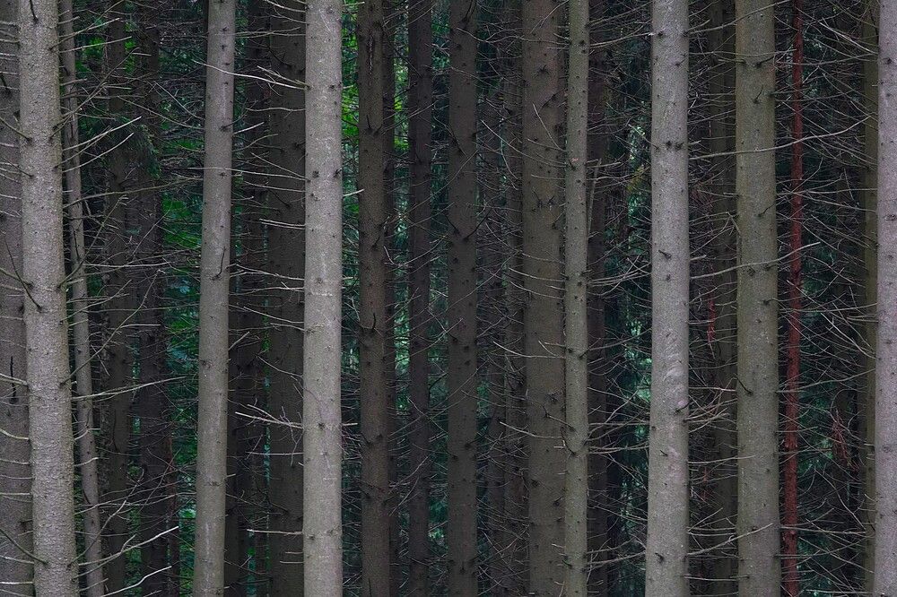 Photograph by Zakharov Matvey