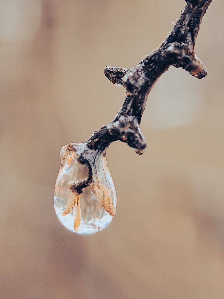 Photograph by Marina Avdeeva