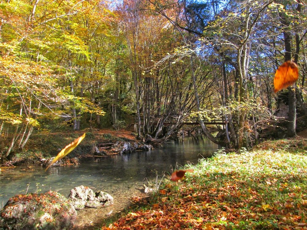 Photograph by Dragoslav Macanović