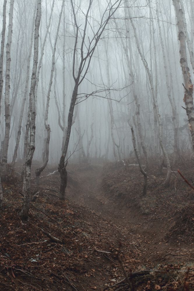 Photograph by Anna Turks