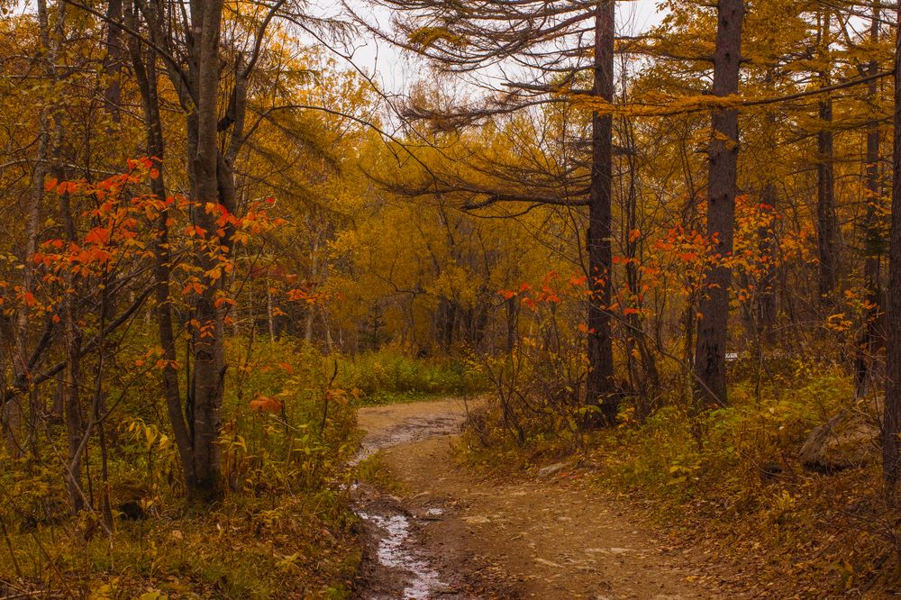 Photograph by Anna Turks